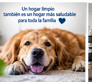 Hogares con mascotas — ImpeHogar